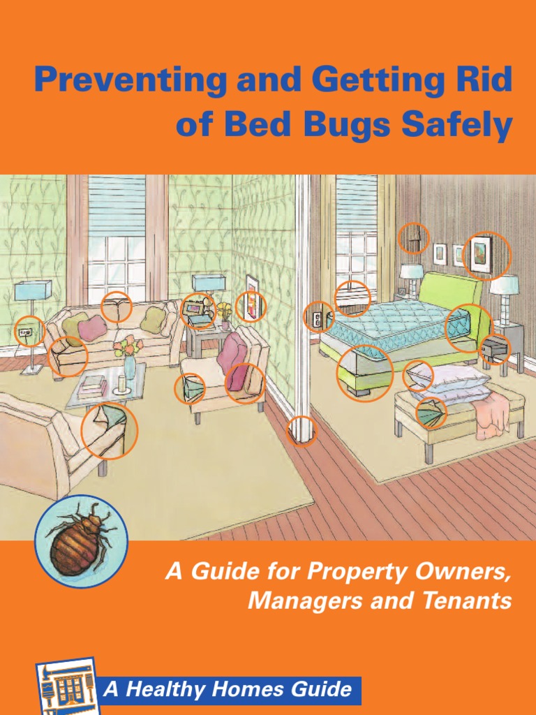 Preventing and Getting Rid of Bed Bugs Safely A Guide For Property
