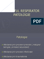 Aparatul Respirator Patologie