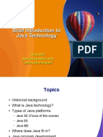 Brief Introduction To Java Technology