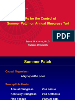 B Mps Summer Take All Patch