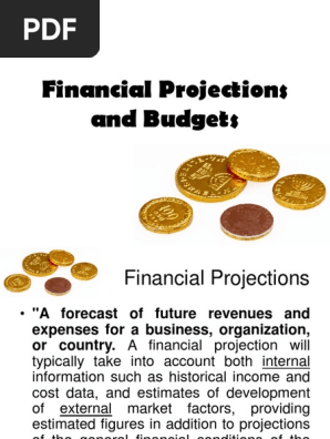 Module 4 Financial Projections and Budgets