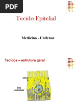 Tecido Epitelial