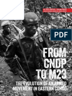 Armed Movement in Eastern Congo