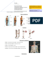 Apuntes - Anatomía I