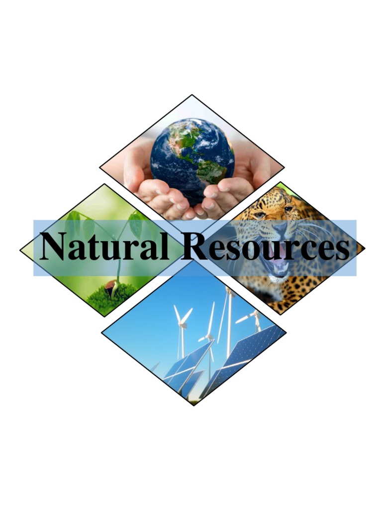 Natural Resources Pdf , (PDF) Sustainable Management of Natural ...