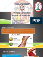 Perfil Lipidico