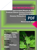 diapositivasplantasmedicinales-120330082833-phpapp02