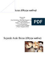 Power Point Arak Beras (Oryza Sativa)