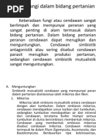 Download Peranan Fungi Dalam Bidang Pertanian by Budi Prayitno SN366967327 doc pdf