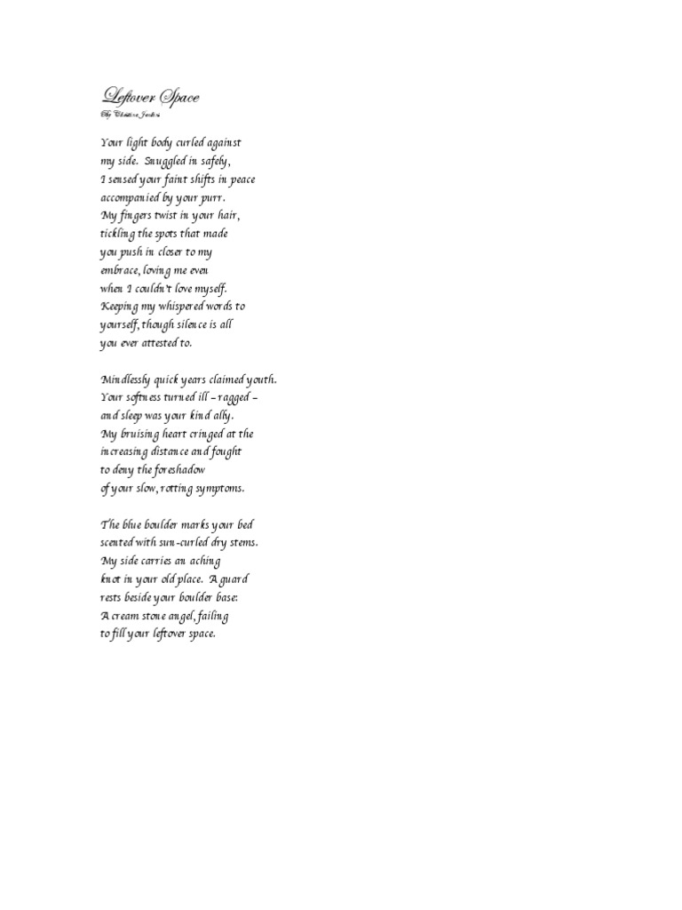 Leftover Space | PDF