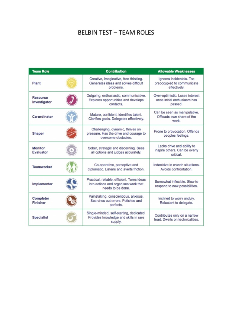 thesis.nl belbin test