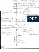 Esquema de Los Ecosistemas