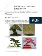 Các dáng thế cơ bản của cây cảnh nghệ thuật bonsai