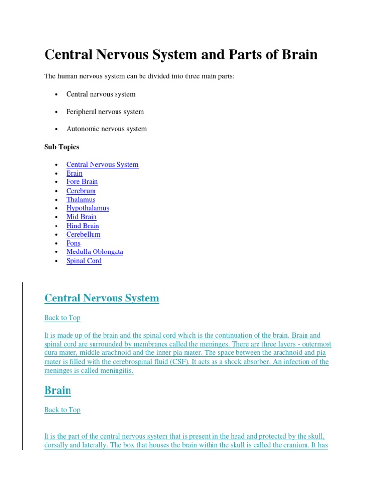 Central Nervous System and Parts of Brain | PDF | Central Nervous ...