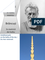 BRANCUSI in Haiku Metrics