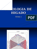 PATOLOGIA HIGADO 1 (Parcial 2)