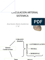 Circulacion Arterial Sistemica