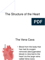 Structureofthe Heart