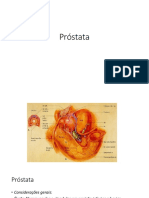 Aula Prostata Padrao