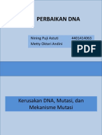 Perbaikan DNA