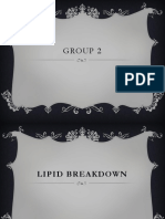 Lipid Breakdown