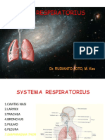 Anatomi Systema Respiratorius
