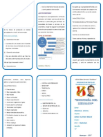 Triptico de Economia Del Mercado