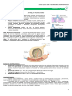 Aparelho Respiratório