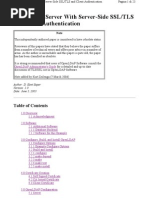 Download OpenLDAP Server With TLS by opexxx SN3670143 doc pdf
