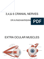 3,4,& 6 Cranial Nerves