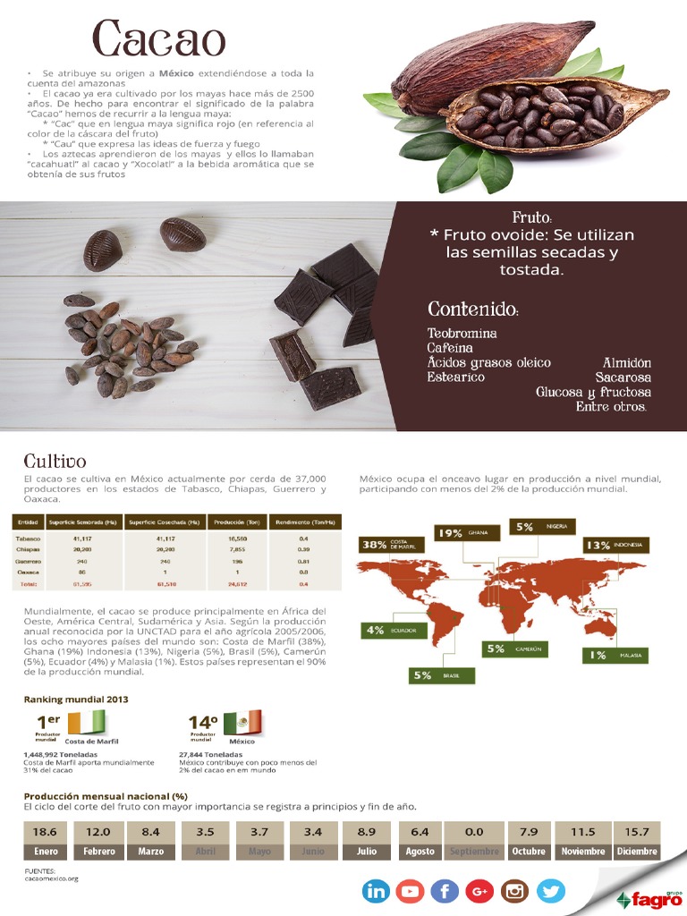 Infografía del Cacao