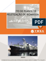 2 Seminario Biomassa 10