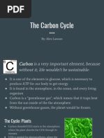 the carbon cycle