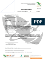 Carta Compromiso Practicas Profesionales