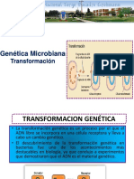 5 Genetica Microbiana Transformacion