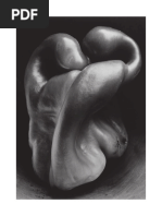 KAC - Arte pornô.pdf