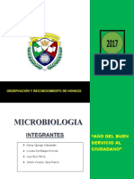 Practica de Laboratorio 3