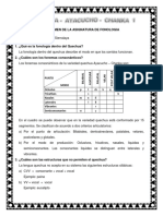 Examen de La Asignatura de Fonologia 1