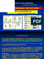 Fisiología de cultivos I: Fotoperiodismo y fotomorfogénesis