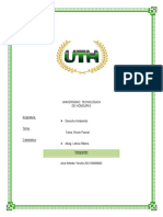 Tarea 3 Jose Toruno