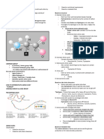 AMINO ACIDS (Slides)