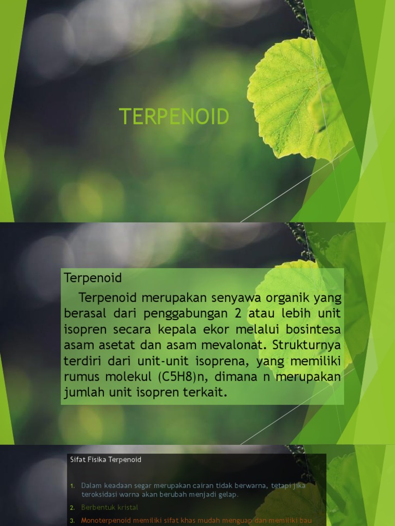 Sifat dan Fungsi Terpenoid dalam Tumbuhan | PDF