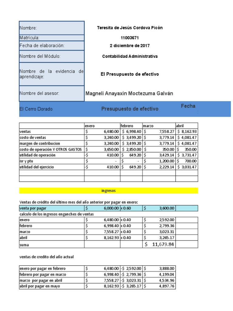 Tarea ejemplo El presupuesto de Efectivo | Presupuesto | Economias