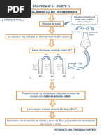 Practica Nitrosomonas