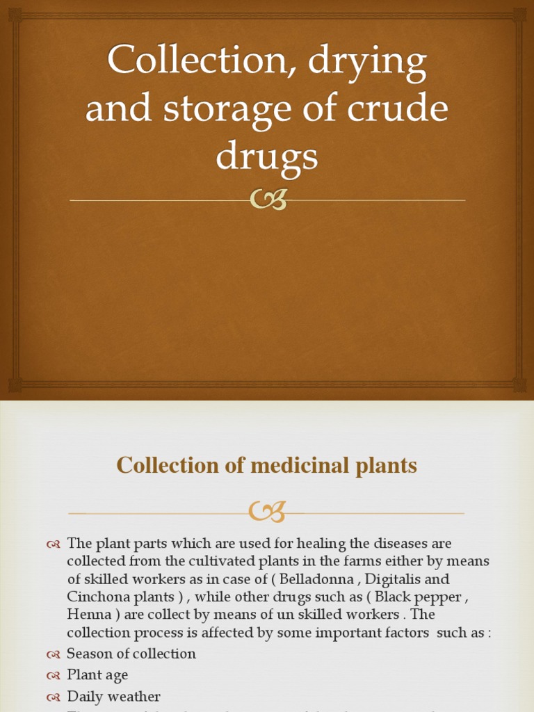 Collection and Drying of Crude Drugs | PDF | Vanilla | Bark
