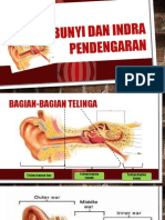 Bunyi Dan Indera Pendengaran