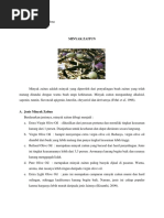 Download Minyak Zaitun by susana SN367066090 doc pdf