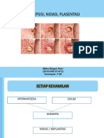 Pembuahan, Nidasi, Plasentasi