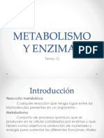 Metabolismo y Enzimas