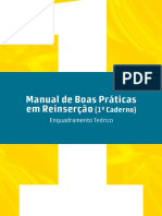 Manual_Reinsercao.pdf